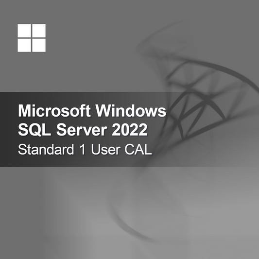 Microsoft SQL Server 2022 Standard 1 потребителски CAL