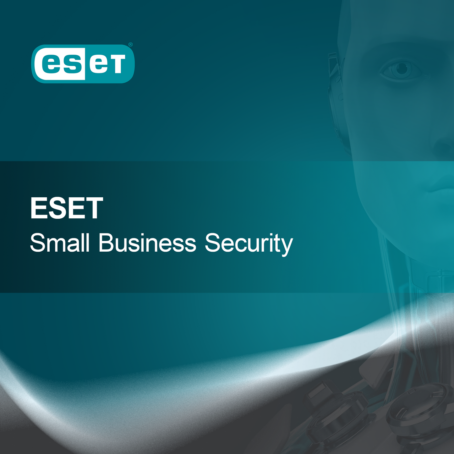 ESET Малък бизнес сигурност