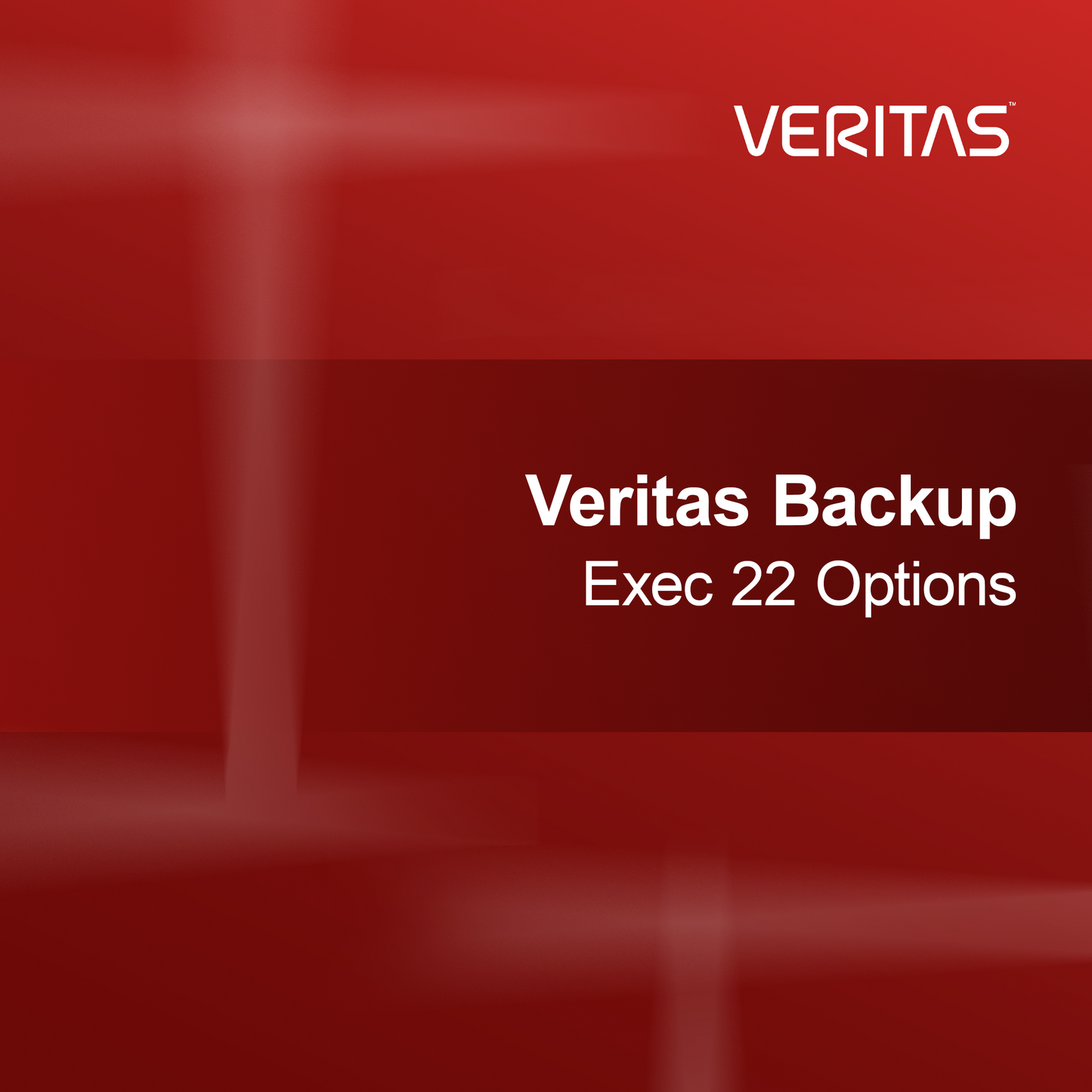 Opciones de Veritas Backup Exec 22